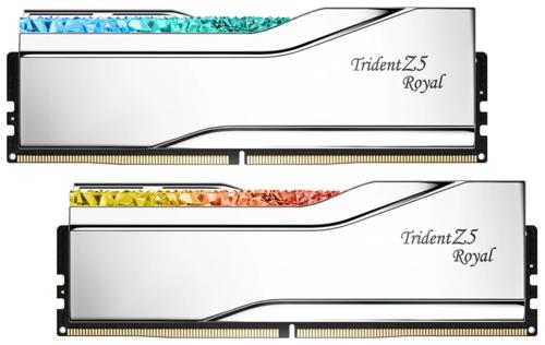 Оперативная память G.Skill Trident Z5 Royal [F5-6400J3239G16GX2-TR5S] 32 ГБ