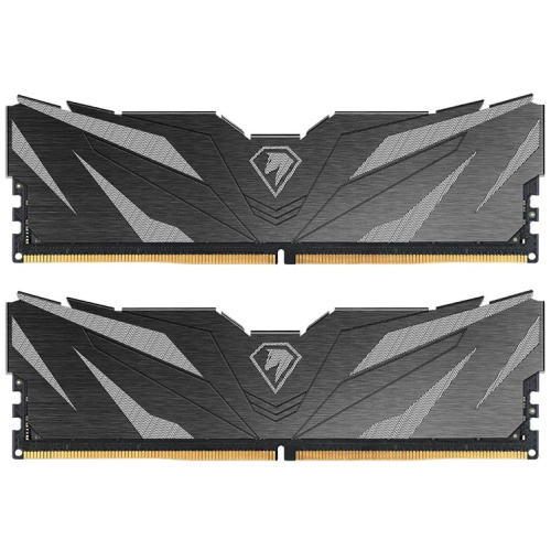 ОЗУ Netac Shadow II NTSWD5P60DP-32K, DDR 5 DIMM 32Gb (16Gbx2), 6000Mhz, CL38, Black