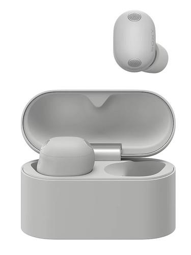 Наушники TWS Sony WF-1000XM6  серый 2026