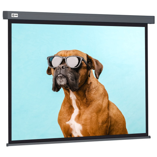 Экран Cactus CS-PSW-149X265-SG Wallscreen настенно-потолочный рулонный серый
