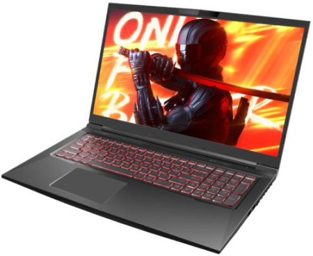 17.3" Ноутбук MAIBENBEN X17A черный