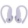 Наушники TWS Beats Powerbeats Pro 2 фиолетовый