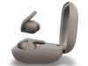 Наушники TWS Powerbeats Fit  серый 2026