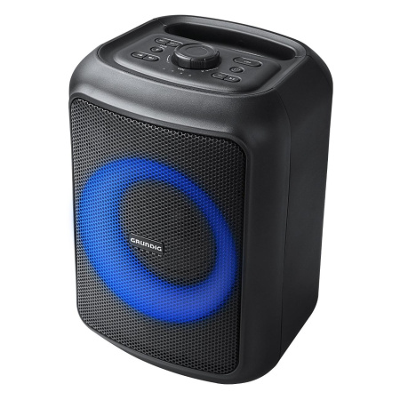 Портативная аудиосистема Grundig PartyHit Max