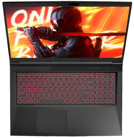 17.3" Ноутбук MAIBENBEN X17A черный