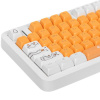 Клавиатура  проводная Red Square Alumix TKL Classic Gooseboard