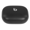 Наушники TWS Powerbeats Fit  черный 2026
