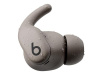 Наушники TWS Powerbeats Fit  серый 2026