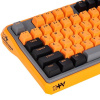 Клавиатура  проводная RAPOO ESK750-98